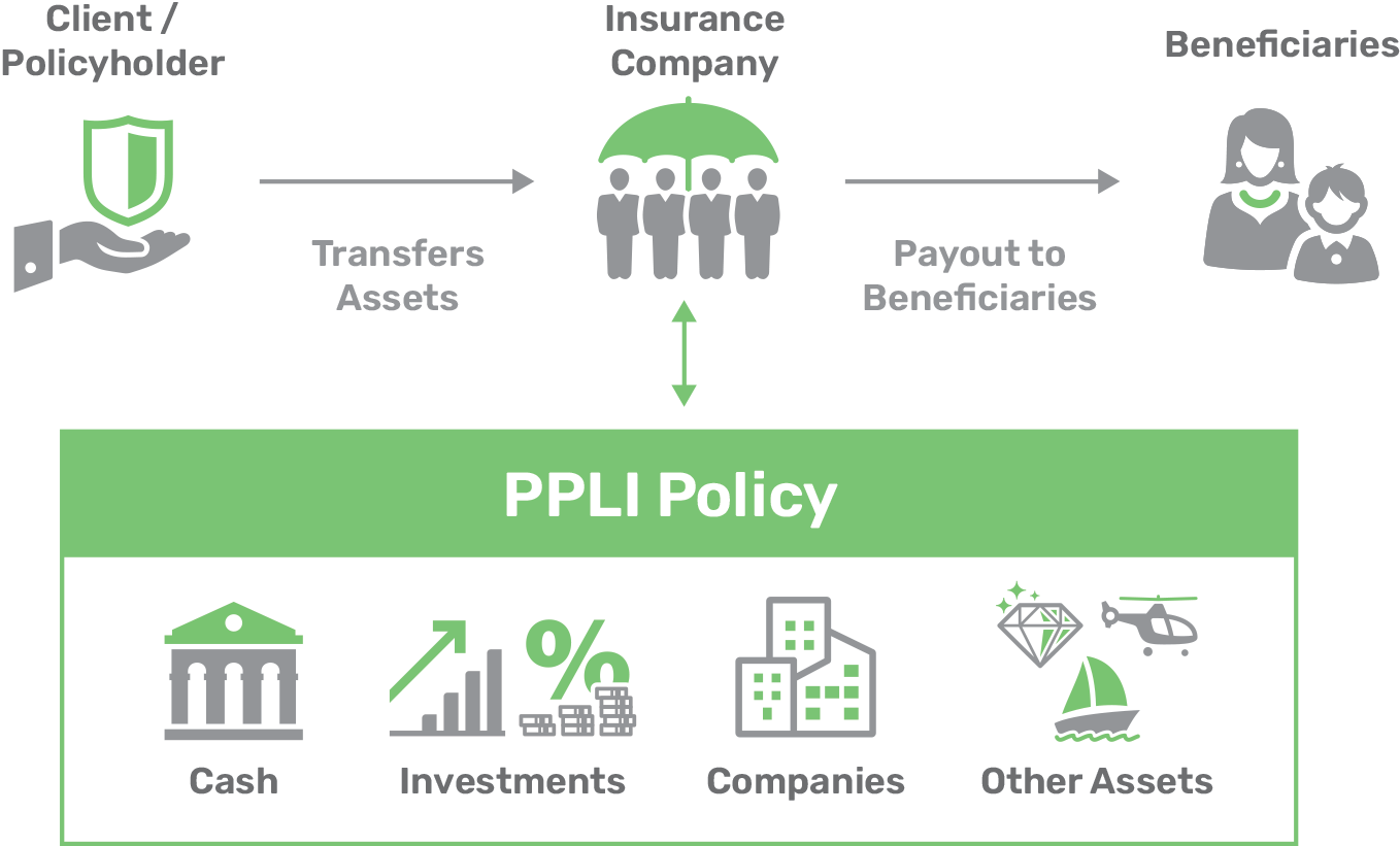 PPLI-Policy-diagram